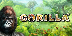 GORILLA